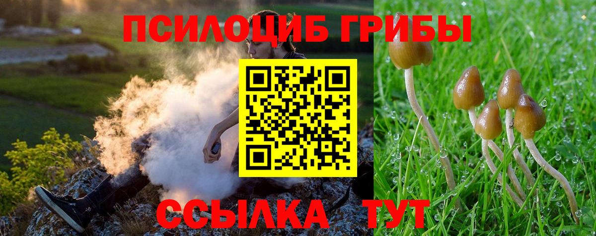 Псилоцибиновые грибы ЛСД Иваново